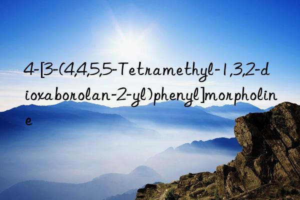 4-[3-(4,4,5,5-Tetramethyl-1,3,2-dioxaborolan-2-yl)phenyl]morpholine