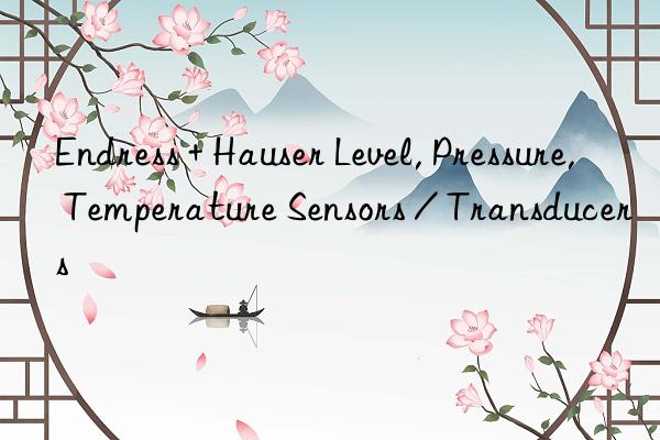 Endress + Hauser Level, Pressure, Temperature Sensors / Transducers