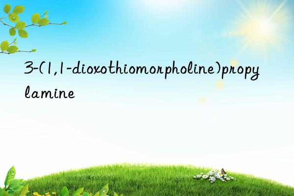 3-(1,1-dioxothiomorpholine)propylamine