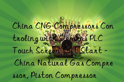 China CNG Compressors Controling with Siemens PLC Touch Screen Soft Start - China Natural Gas Compressor, Piston Compressor