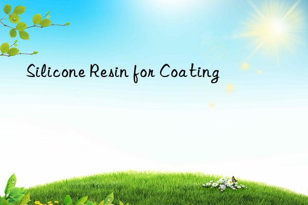 Silicone Resin for Coating