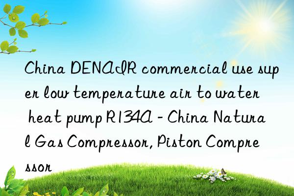 China DENAIR commercial use super low temperature air to water heat pump R134A - China Natural Gas Compressor, Piston Compressor