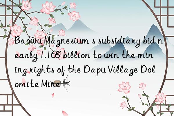 Baowu Magnesium s subsidiary bid nearly 1.168 billion to win the mining rights of the Dapu Village Dolomite Mine