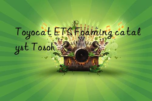 Toyocat ETS Foaming catalyst Tosoh 