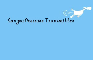 Sanyou Pressure Transmitter