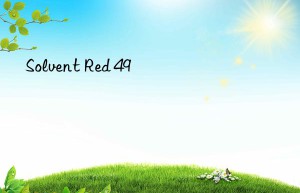 Solvent Red 49