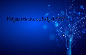 Polyurethane catalyst 9727