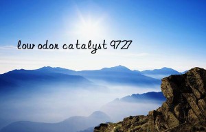 low odor catalyst 9727