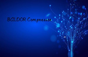 BALDOR Compressor