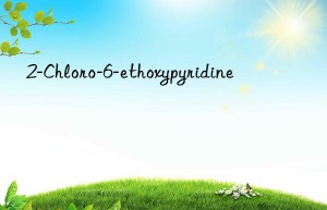 2-Chloro-6-ethoxypyridine