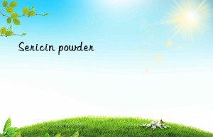 Sericin powder