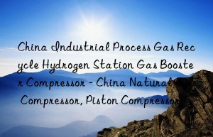 China Industrial Process Gas Recycle Hydrogen Station Gas Booster Compressor – China Natural Gas Compressor, Piston Compressor