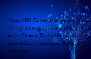 China CNG Compressor Equipment With High Energy Efficiency Be Popular Around The World – China Natural Gas Compressor, Piston Compressor