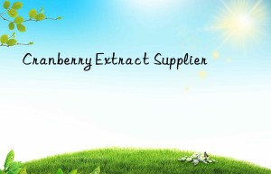 Cranberry Extract Supplier