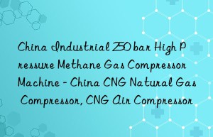 China Industrial 250 bar High Pressure Methane Gas Compressor Machine – China CNG Natural Gas Compressor, CNG Air Compressor