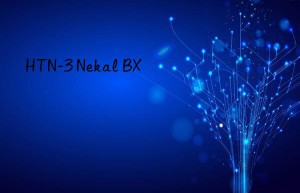 HTN-3 Nekal BX