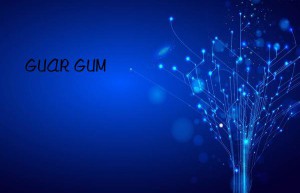 GUAR GUM