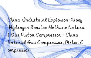 China Industrial Explosion-Proof Hydrogen Booster Methane Natural Gas Piston Compressor – China Natural Gas Compressor, Piston Compressor