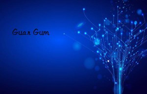 Guar Gum