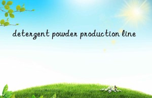 detergent powder production line