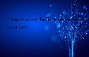 Caprolactam: Bottom rebound trend is firm