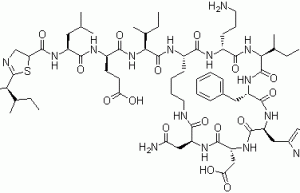 Bacitracin