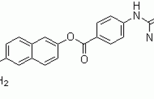 Nafamostat mesylate