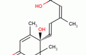 Abscisic acid|21293-29-8