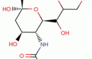 N-acetylneuraminic acid