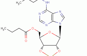 Bucladesine Sodium Salt