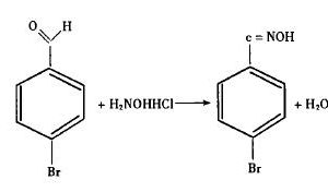 Reaction of p-bromobenzaldehyde and hydroxylamine hydrochloride