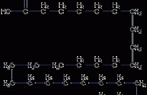 Structural formula of octanoic acid